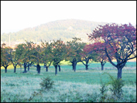 Weekend Polen - Wroclaw