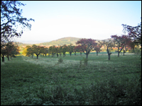 Weekend Polen - Wroclaw